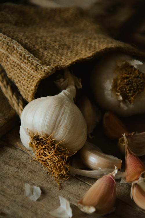 Egyptian garlic export team