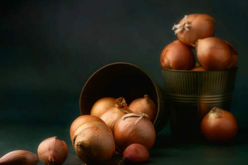 Egyptian produce harvest