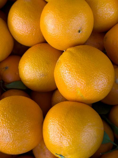 Early season Egyptian citrus advantage
