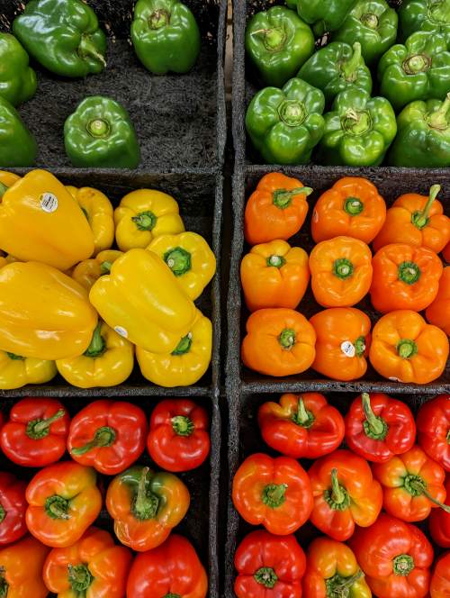 Egyptian peppers export packaging